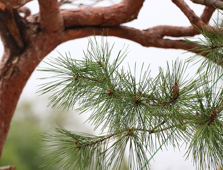 城南造園 外構 公共事業 