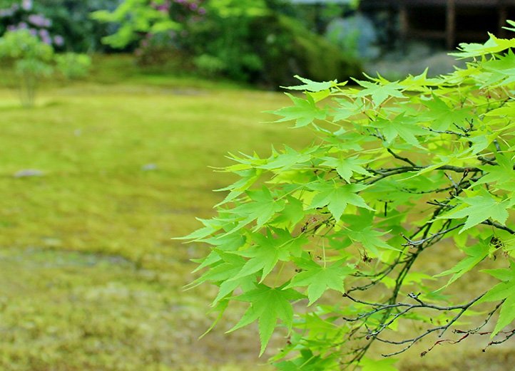 城南造園 外構 公共事業 
